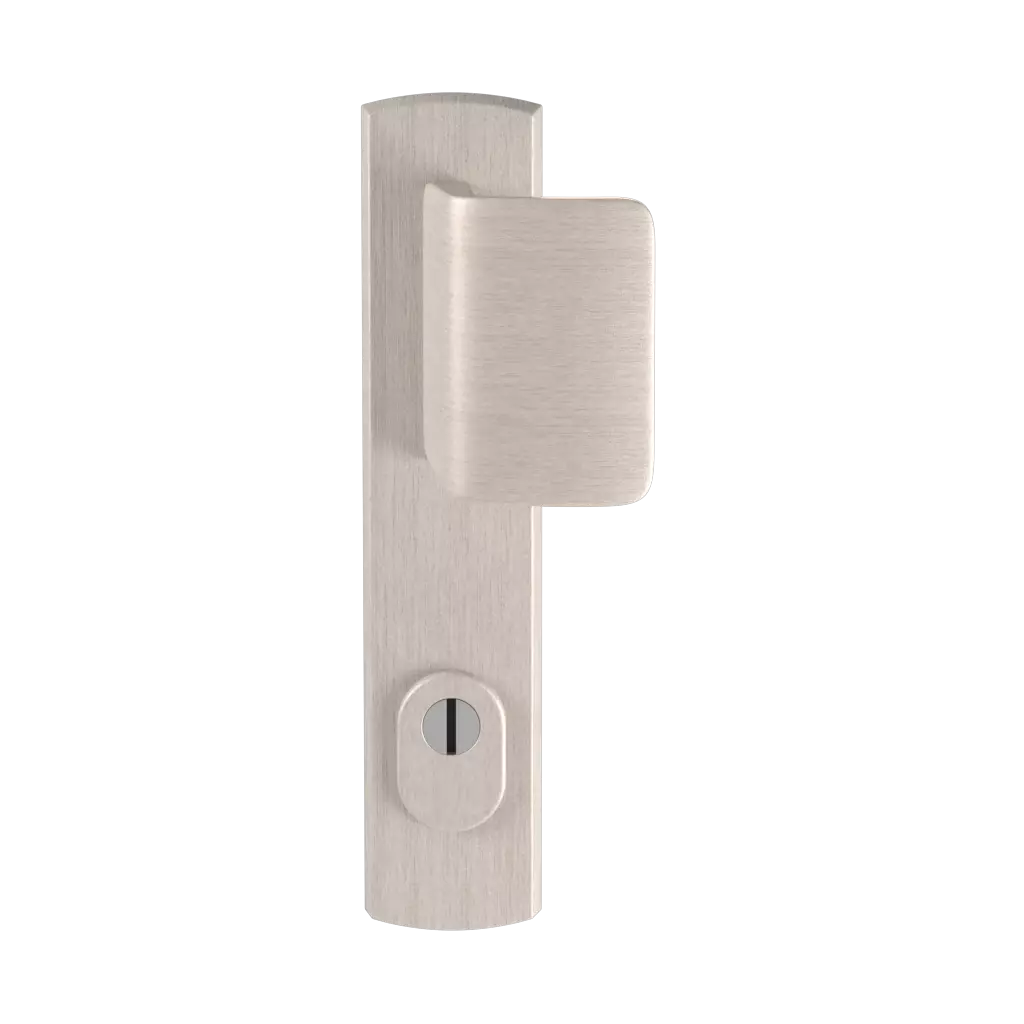 Stainless steel F6 entry-doors door-accessories door-knobs apollo stainless-steel-f6 