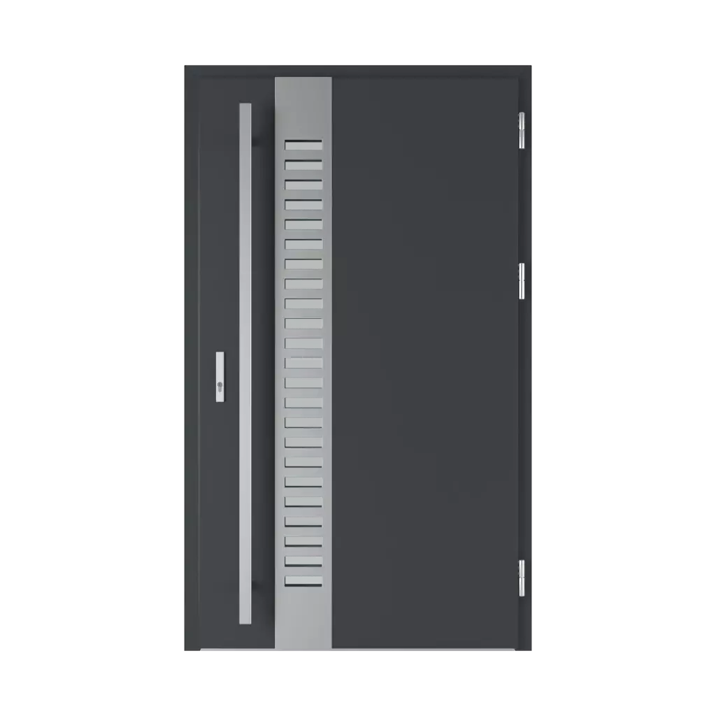 Selters 2 entry-doors models-of-door-fillings steel 