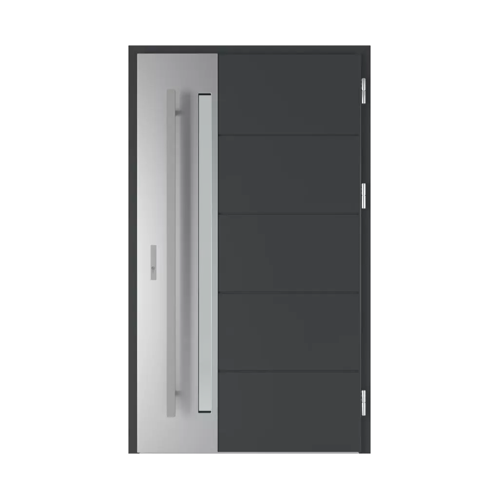 Langen 7 entry-doors models-of-door-fillings steel 